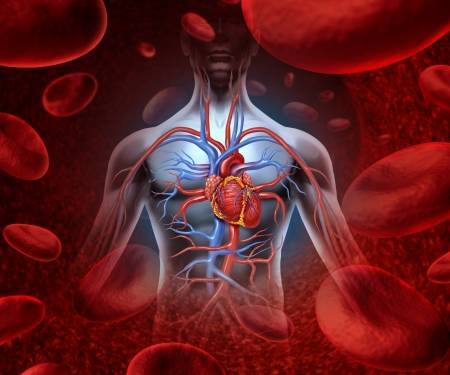 What is sinus rhythm and arrhythmia?