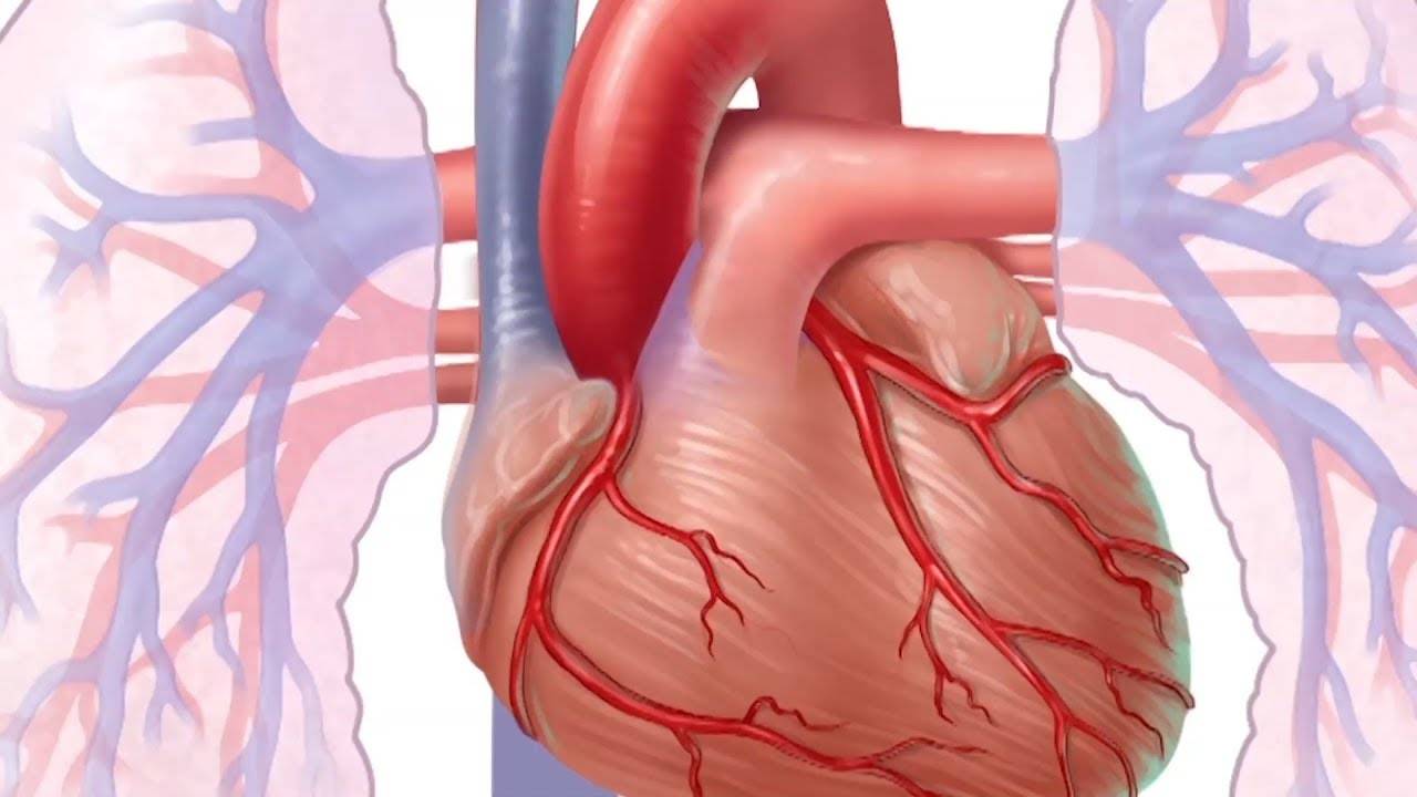Management within 3 months after the catheter ablation for atrial fibrillation