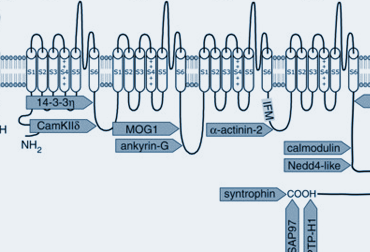 2022 ACAS Webinar for Cardiac Channelopathy