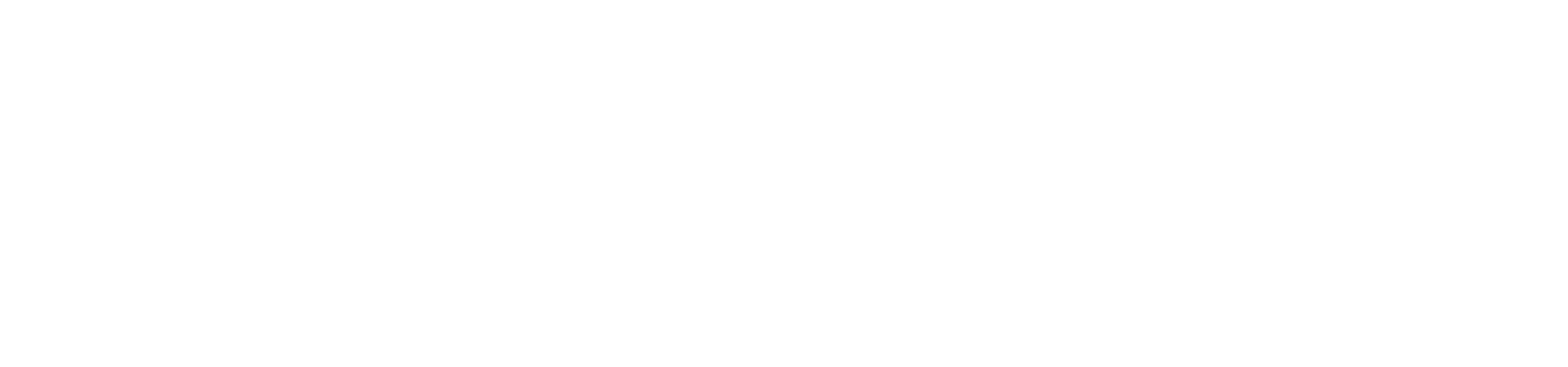 国际仿真大会